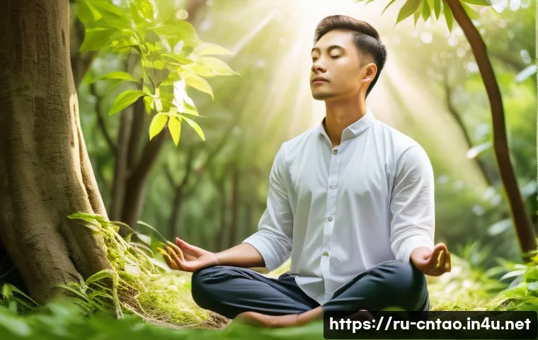 장자의 철학 - A serene scene depicting a peaceful person meditating outdoors in harmony with nature, surrounded by...